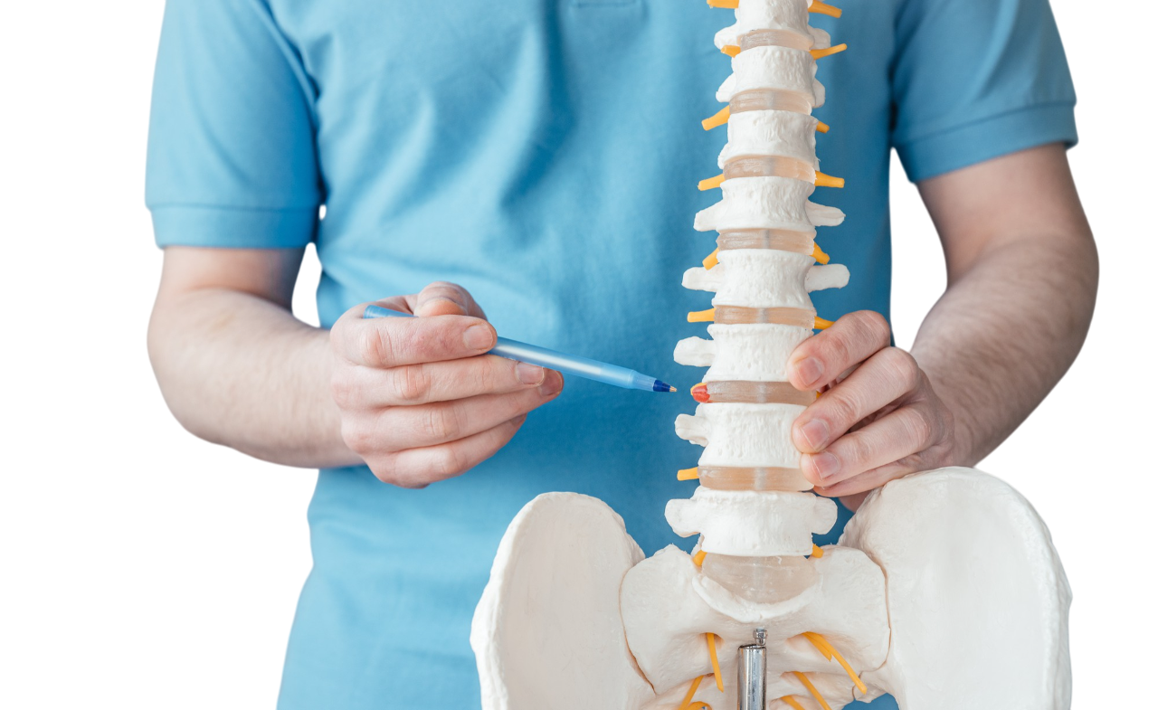 Chiropractor in Tigard, OR
